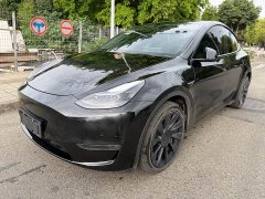 Tesla Model Y Standard Range Edition - фото 1