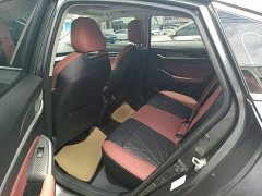 PLUS NE 1.4T GDI DCTFlagship Edition - фото 17