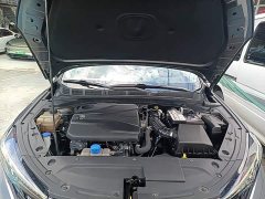 PLUS NE 1.4T GDI DCTFlagship Edition - фото 20