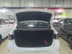 Changan PLUS 1.5T DCT Version - фото 19