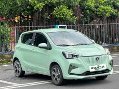 BYD E-Star Edition - фото 3