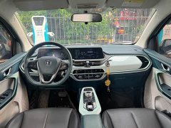 BYD E-Star Edition - фото 5