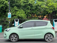 BYD E-Star Edition - фото 7