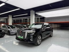 Hongqi E-HS9 510km Edition - фото 1