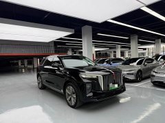 Hongqi E-HS9 510km Edition - фото 3