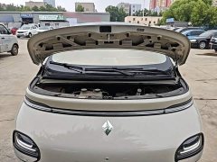 Baojun 460 Max - фото 20