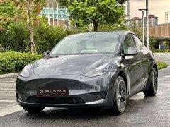 Tesla Model Y Edition - фото 1