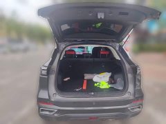 Changan CS55PLUS 1.5T DCTPremium Version - фото 15