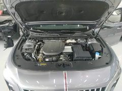 Hongqi H5 PHEV 170 Edition - фото 20