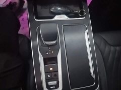 Hongqi HS5 2.0T AWDPro Edition - фото 14
