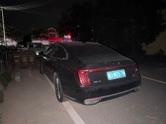 Hongqi H9 2.0T Edition - фото 10