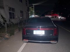 Hongqi H9 2.0T Edition - фото 9