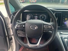 Trumpchi M8 Master Series 390T Extreme Edition - фото 17