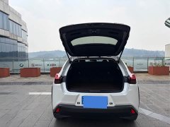 Lexus UX 260h F Sport - фото 10