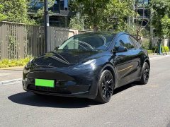 Tesla Model Y Long Range Edition - фото 1