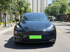 Tesla Model Y Long Range Edition - фото 2