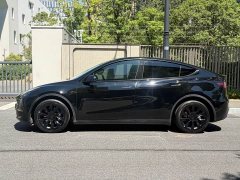 Tesla Model Y Long Range Edition - фото 3