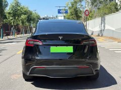 Tesla Model Y Long Range Edition - фото 9
