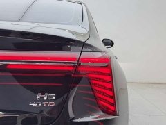 Hongqi H5 2.0T Edition - фото 10