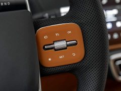 Li Auto Ideal L9 2022 Max - фото 10