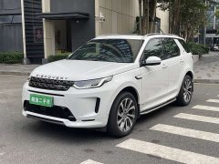 Lexus Discovery Sports New Energy P300e Performance Technology Edition - фото 1