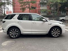 Lexus Discovery Sports New Energy P300e Performance Technology Edition - фото 8