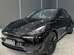 Tesla Model Y Edition - фото 1
