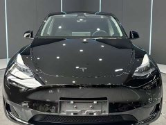 Tesla Model Y Edition - фото 2