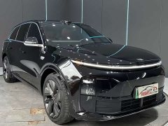 Li Auto L6 Pro - фото 3