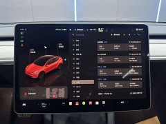 Tesla Model Y Edition - фото 11