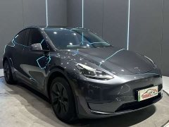 Tesla Model Y Edition - фото 2