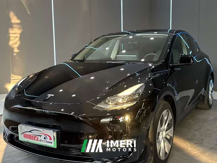 Tesla Model Y Long Range Edition 3D7 - автомобиль из Китая
