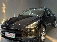 Tesla Model Y Long Range Edition 3D7 - фото 1