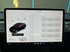 Tesla Model Y Long Range Edition 3D7 - фото 12
