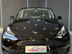Tesla Model Y Long Range Edition 3D7 - фото 2