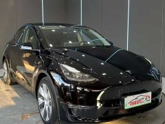 Tesla Model Y Long Range Edition 3D7 - фото 3