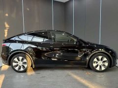 Tesla Model Y Long Range Edition 3D7 - фото 5