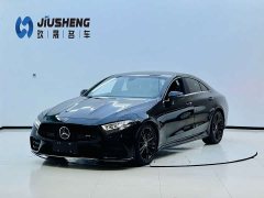 Mercedes-Benz CLS 300 Version - фото 1