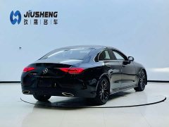 Mercedes-Benz CLS 300 Version - фото 6