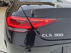 Mercedes-Benz CLS 300 Version - фото 8