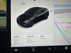 Tesla Model Y Standard Range Edition - фото 11