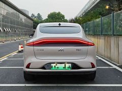 Icar LS6 Max Edition - фото 4
