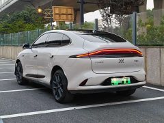 Icar LS6 Max Edition - фото 5