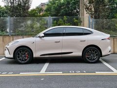 Icar LS6 Max Edition - фото 7