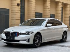 BMW 5 530Li xDrive Luxury - фото 1