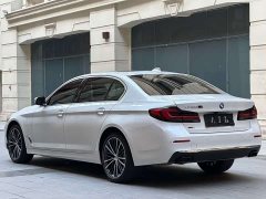 BMW 5 530Li xDrive Luxury - фото 6