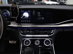 Hongqi H9 2.0T Edition - фото 13