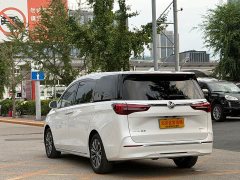 Buick GL8 ES Luxury Version - фото 6