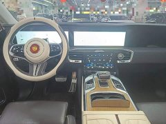 Hongqi E-HS9 510km Edition - фото 13