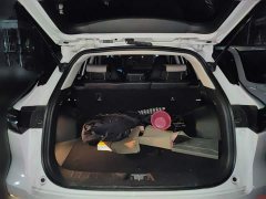 Changan CS55PLUS Edition 1.5T DCTPremium Version - фото 10